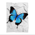 Butterfly Sublimation Throw Blanket