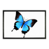Butterfly Sublimation Doormat
