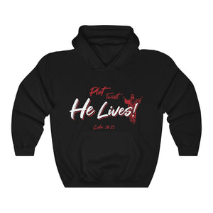 Plot Twist Bible Verse Jesus Christian Unisex Hoodie Hooded Sweatshirt