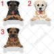 Personalized Border Terrier Dog Mom Dad Mug, Funny Dog Owner Gift