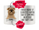 Personalized Brussels Griffon Dog Mom Dad Mug, Funny Dog Owner Gift
