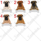 Personalized Bullmastiff Dog Mom Dad Mug, Funny Dog Owner Gift