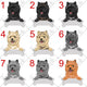 Personalized Cairn Terrier Dog Rescue Mom Dad Mug, Best Dog Owner Gift