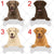 Personalized Chesapeake Bay Retriever Dog Mom Dad Mug, Funny Dog Owner Gift