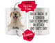 Personalized Corgidor Dog Mom Dad Mug, Funny Dog Owner Gift