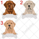 Personalized Dogue de Bordeaux Dog Rescue Mom Dad Mug, Best Dog Owner Gift