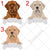 Personalized Dogue de Bordeaux Dog Mom Dad Mug, Funny Dog Owner Gift