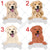 Personalized Golden Retriever Dog Mom Dad Mug, Funny Dog Owner Gift