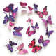 3D Magnet Butterflies Decoration - Freedom Look