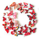 3D Magnet Butterflies Decoration - Freedom Look