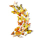 3D Magnet Butterflies Decoration - Freedom Look