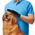 Cleaning Brush Magic Glove For Your Dog - Freedom Look