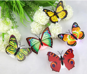 Butterfly LED Night Lights (5 or 10) - Freedom Look