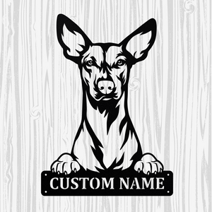 Personalized Xoloitzcuintli Metal Sign, Dog Owner Wall Art, Memorial Gift