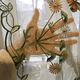 Butterfly Curtain - New Style 2019 - Freedom Look