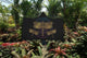 Golden Dragonfly Hooded Blanket - Freedom Look