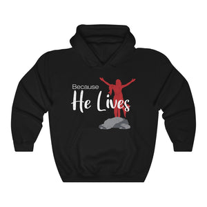 Because He Lives Jesus Christian Unisex Hoodie Hooded Sweatshirt