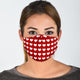 Heart Face Mask with Filters