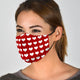 Heart Face Mask with Filters