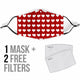 Heart Face Mask with Filters
