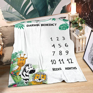 Blanket Safari