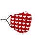 Heart Face Mask with Filters