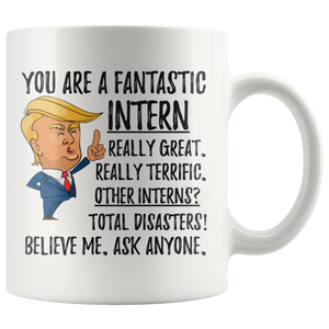 Funny Fantastic Intern Coffee Mug, Intern Trump Gifts, Best Intern Birthday Gift, Intern Christmas Graduation Gift