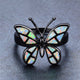 HQ Opal Butterfly Rings - 2018 - Freedom Look