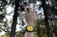 Sunflower Butterfly Awesome Watch