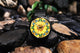 Sunflower Butterfly Awesome Watch