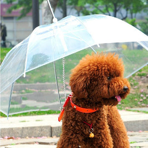 Puppy Umbrella With Leashes - Freedom Look