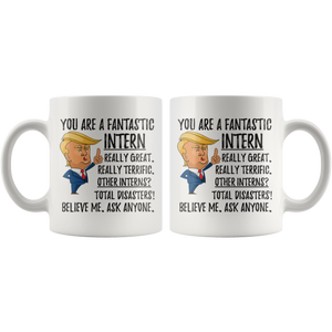 Funny Fantastic Intern Coffee Mug, Intern Trump Gifts, Best Intern Birthday Gift, Intern Christmas Graduation Gift