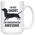 Mini Dachshund Mug I'm Concentrated Awesome Weenie I'm Not Short Weiner Dog - 15oz